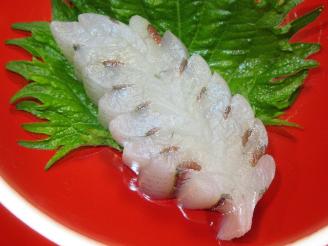 さよりの木の葉造り,晩春から初夏の刺身の献立