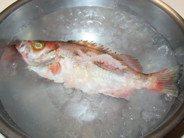 めばるの煮つけ,煮魚の作り方と割合,霜降りをして氷水に入れる工程