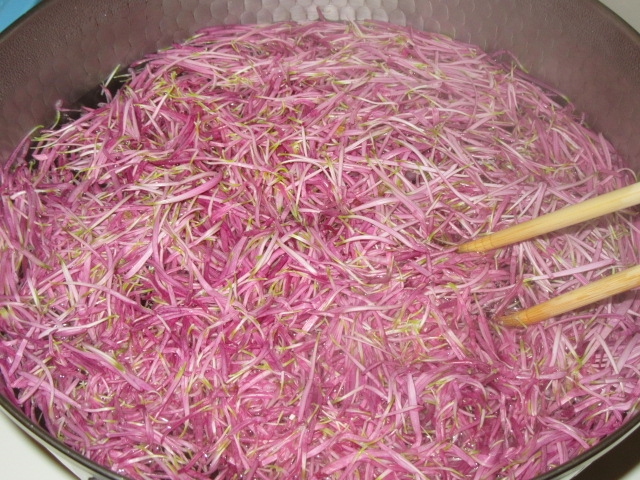 紫菊花のゆで方