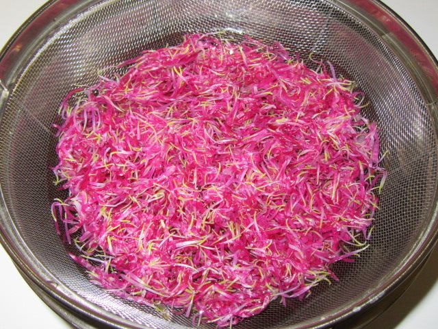紫菊花のゆで方,水にさらす工程